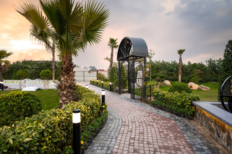 The garden path