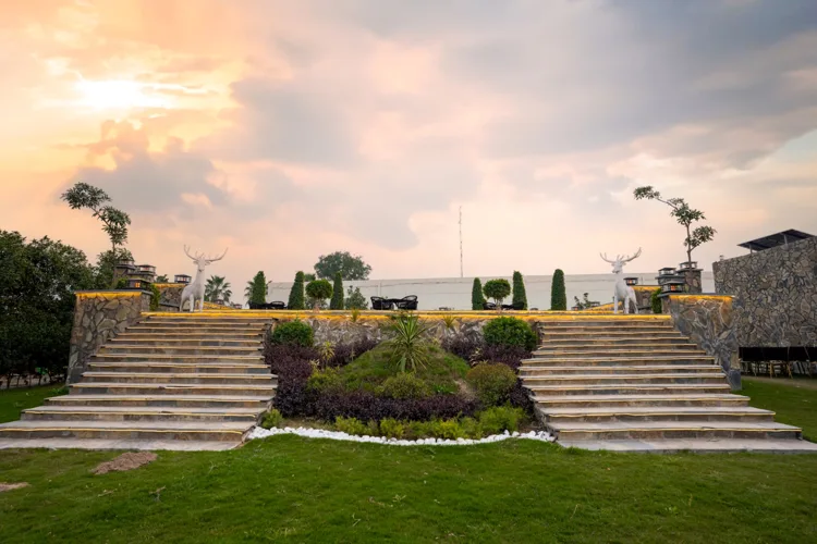 The garden terraces