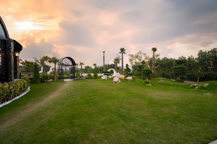 An evening in the gardens